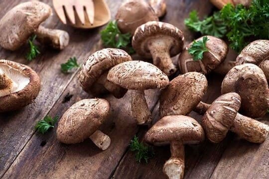 تولید و عرضه قارچ دکمه‌ای تازه عمده