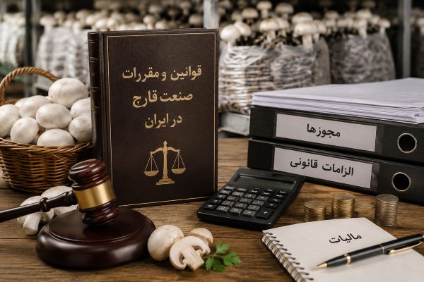آقای قارچ 12 تولید و عرضه قارچ دکمهای تازه عمده